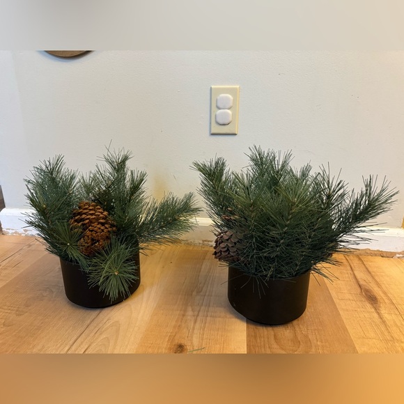 Holiday Pine Arrangement with Pinecones - Picture 1 of 11